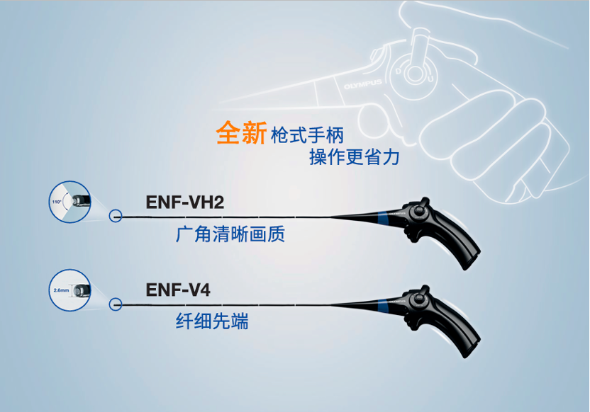 e7f3e7f3-903f-11ef-9f39-068d126d88ec.png