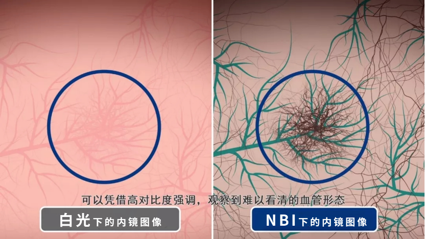 b7ecd23c-815b-11f0-ba43-06cbb580096a.png